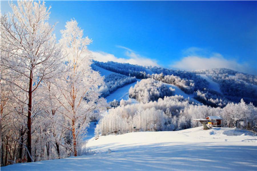 《中國世家》東北長白山＋俄式風情莊園．萬達度假小鎮滑雪趣八日 ( 香格里拉 )