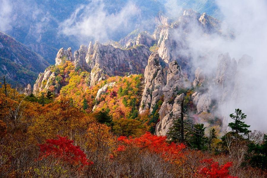 【楓情再現雪嶽山】鐵道自行車、南怡島、變妝遊北村、明洞逛街、汗蒸幕5日