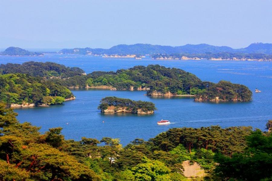 東仙風情★世界遺產．日本三景．登晴空塔．東京仙台五日