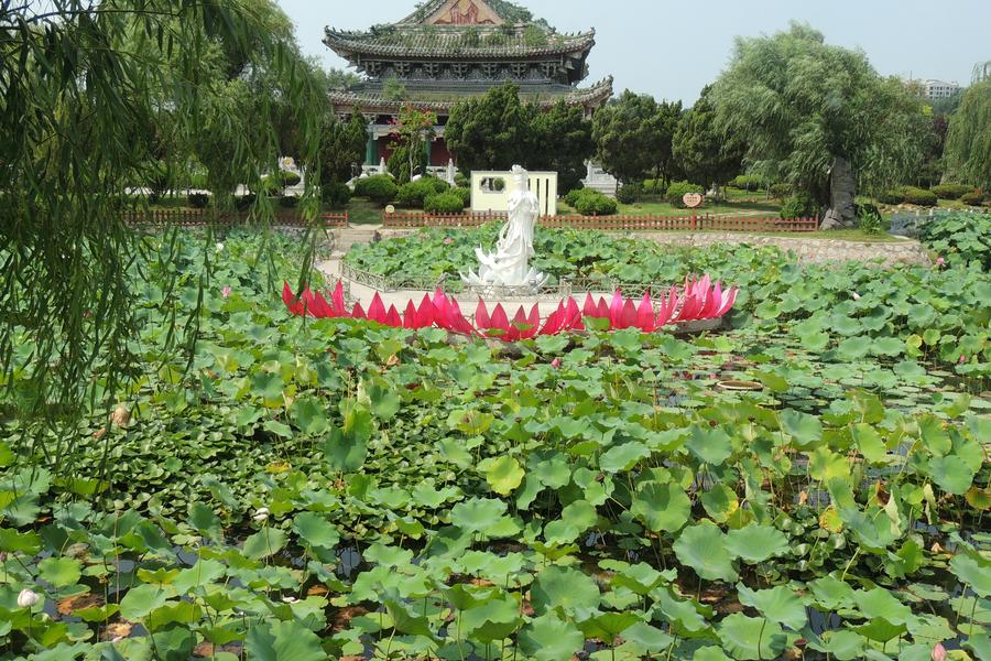 河南少林寺、開封鐵塔、康百萬莊園全覽七日【無購物】