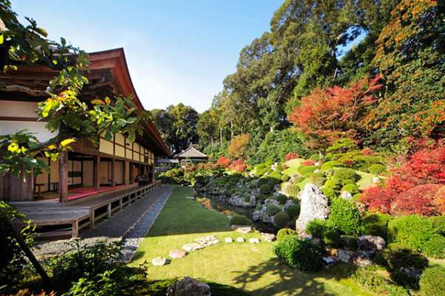 富靜秋紅★國寶合掌村‧立山古街‧清水港玉露5日