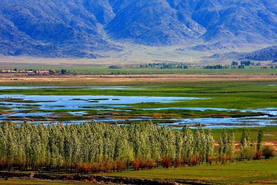 【北疆】喀納斯湖、禾木村魔鬼城、那拉提巴音布魯克11日