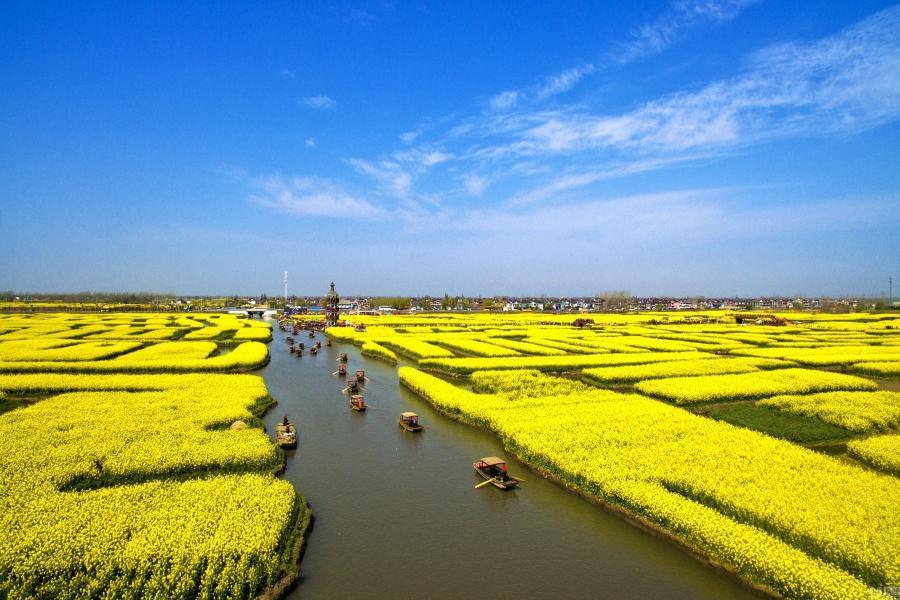 春日下江南~興化垛田油菜花、濮院古鎮、入住南京涵碧樓6日