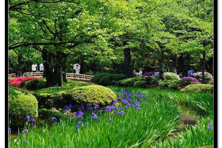 能登假期★立山兼六園 神鄉合掌村4日