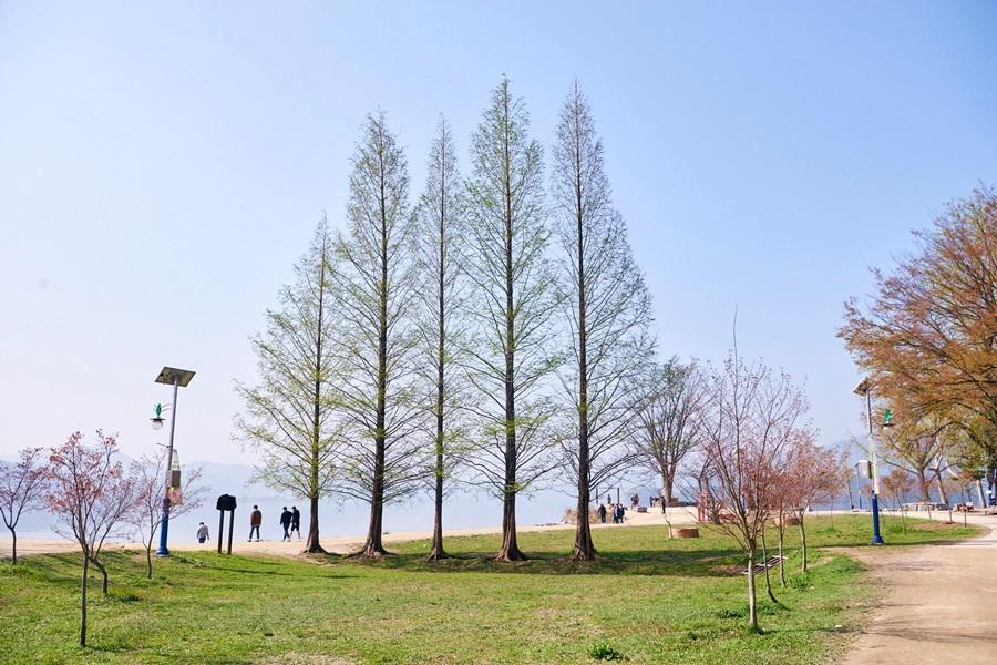 【不進人蔘保肝】升等2晚市區~歡樂韓國愛寶、兩水頭、龍蝦海鮮美食5日