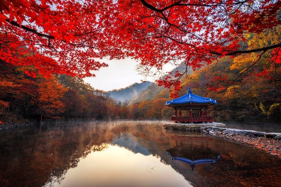 【楓紅內藏山】二晚五星、濕地風車紫芒花、韓服遊韓屋、網美金字塔咖啡5日