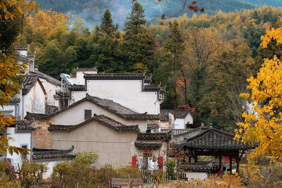 【楓光登場】秋色徽州建築、篁嶺曬秋、宏村、齊雲山5日 【贈徽韻秀】