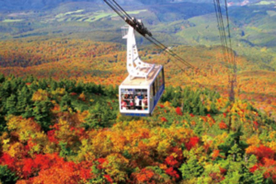 ＊東北輕旅行＊八甲田山第一線紅葉‧奧入瀨森呼吸.一口蕎麥麵大胃王挑戰賽4日(仙台/仙台)