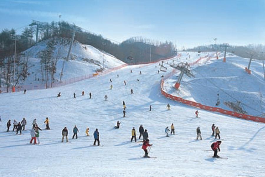 初冬星旅行~滑雪.愛寶樂園.浪漫咖啡廳.五彩繽紛星光村.塗鴉秀五日【大韓航空】