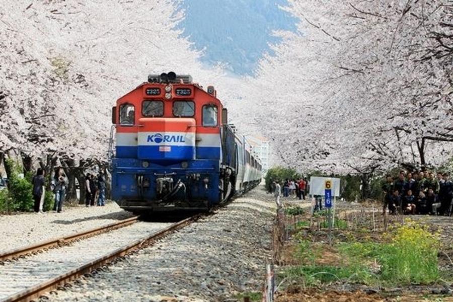 【第2人省3000元】玩轉釜慶~泰迪熊.彩繪村. 40階梯主題街.天空步道.釜山塔.時尚購物4日 【7C=早晚】