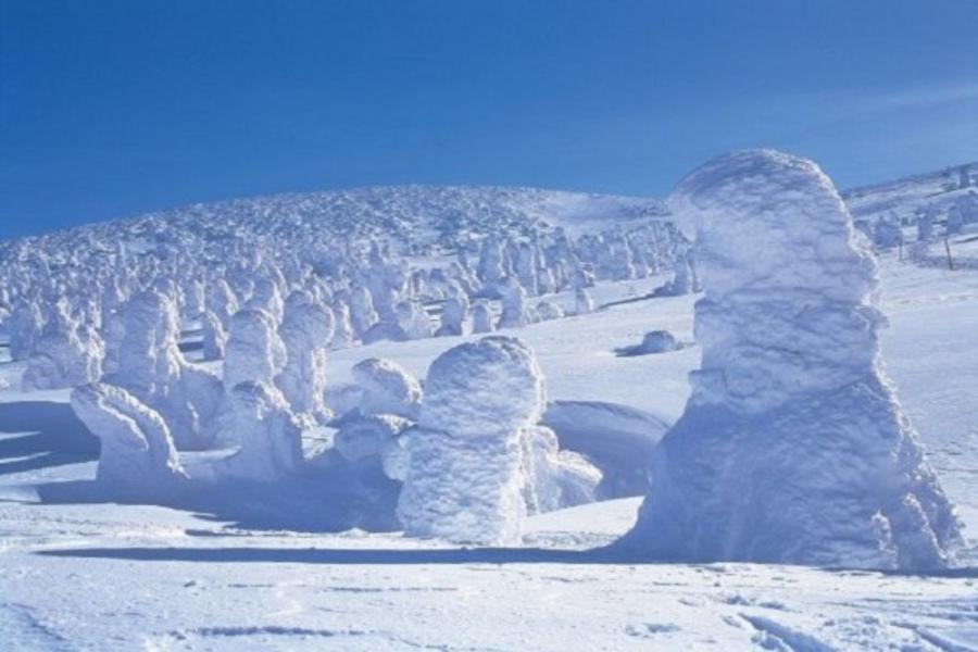 《山形藏王樹冰》雪上樂園.最上川遊船.百選溫泉4日(仙台 仙台)