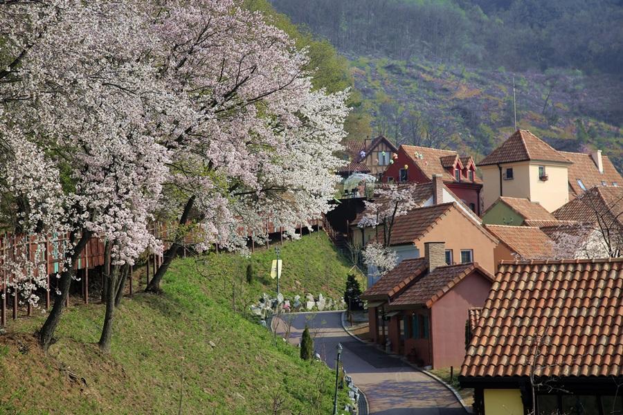 初春韓國~葡萄酒莊.南怡島.法國村.嗨哩藝術村.文青益善洞街道5日