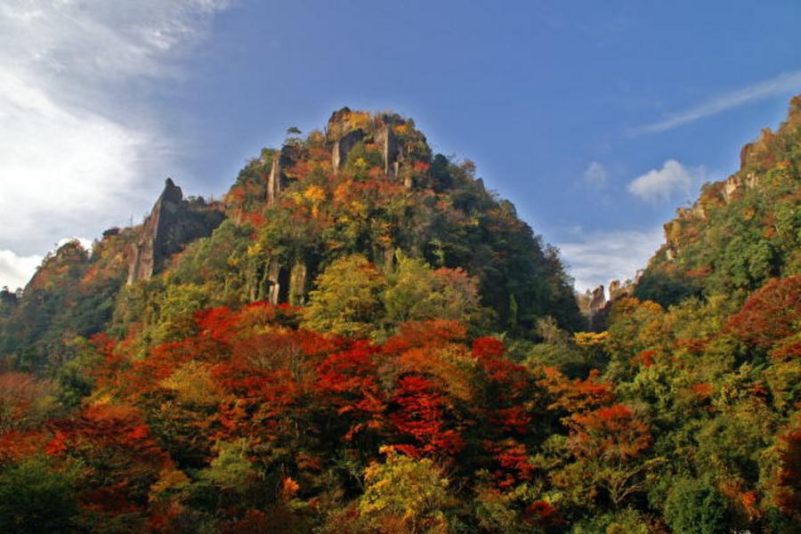 楓紅宇部★深野馬溪‧別府湯布院‧光明禪寺‧門司潮風號‧山口秋吉台4日(宇部包機)