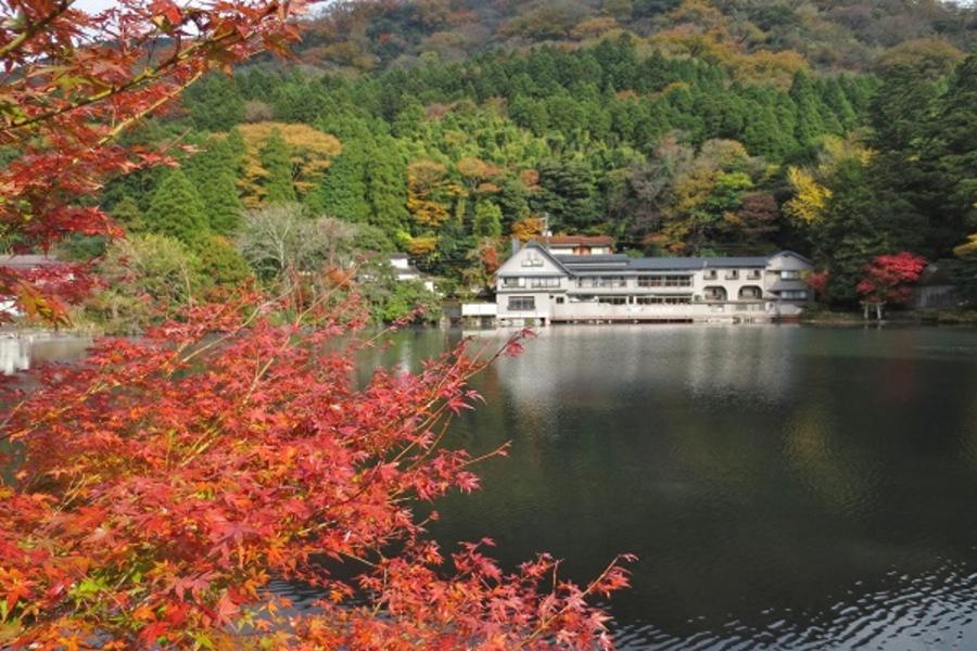 秋賞九州★光明禪寺‧秋月城跡‧深耶馬溪‧黑川溫泉古街‧湯布院4日