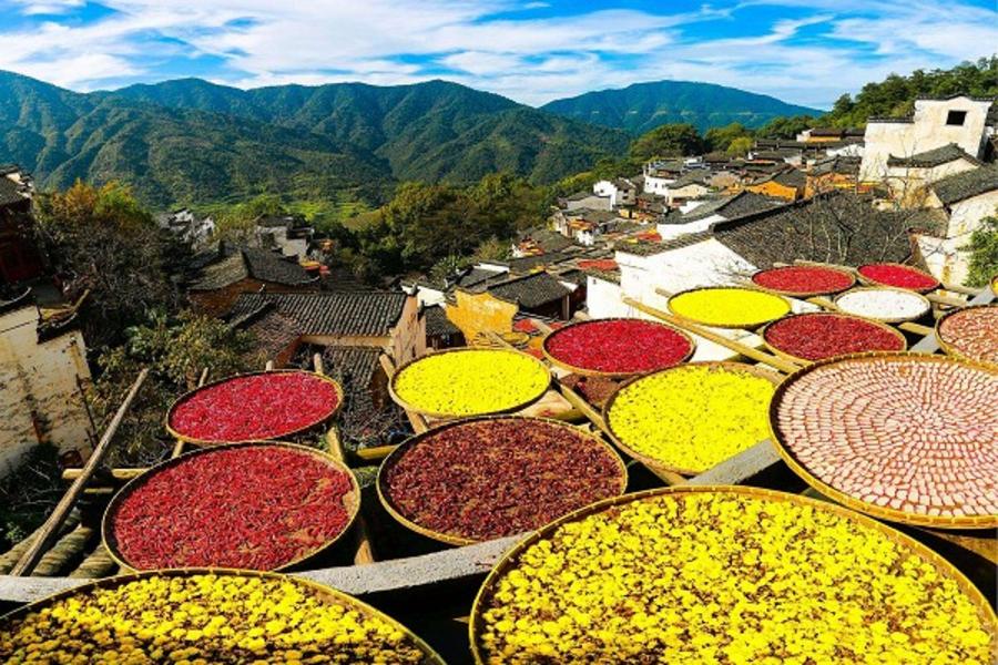 秋收感蟹季、杭州西湖、黃山、篁嶺曬秋六天【山上乙晚.無購物.無自費】