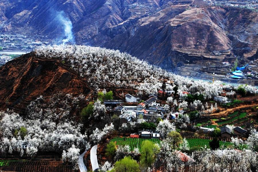 【塞上江南東女國】金川梨花、四姑娘山、丹巴、木格措、嘉陽油菜花8日