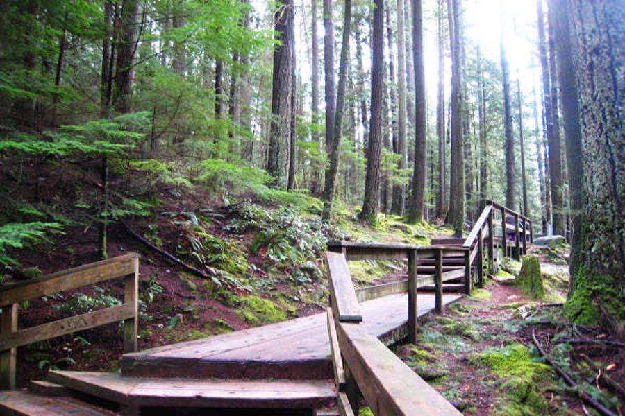 加拿大溫哥華深度七日~惠斯勒渡假村、格蘭維爾島、林恩峽谷、深水灣、水上巴士、彩虹船、OUTLET(CX)