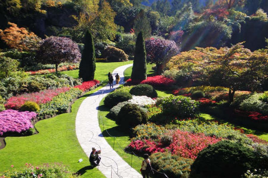 舞春風加拿大洛磯山脈四大國家公園 維多利亞 露易絲湖十日CX