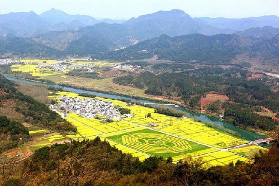 花漾油菜花、徽州建築、篁嶺、宏村、齊雲山五日 【贈徽韻秀】