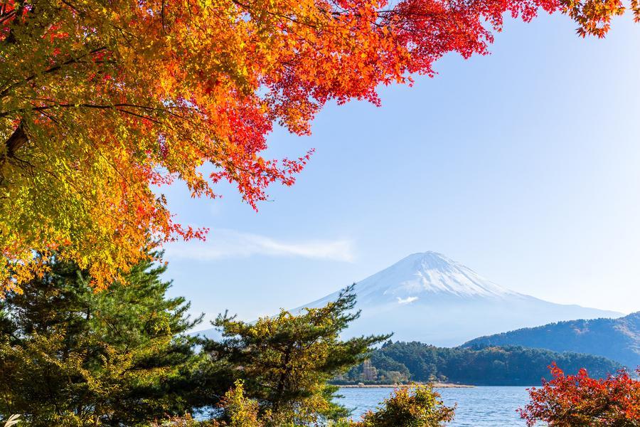 【東京雙溫泉】河口湖紅葉・昇仙峽纜車・秘境庭園、東京賞楓五日