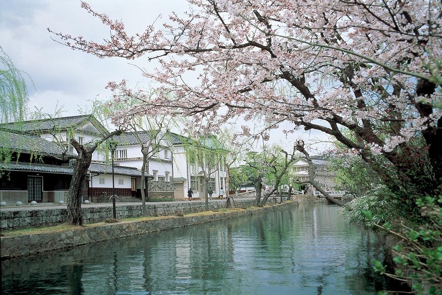 【春遊瀨戶內海】大步危峽、葛藤橋、倉敷美觀地區、岡山後樂園、姬路城5日