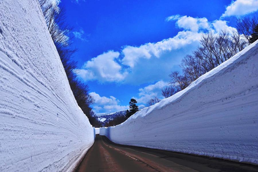 【東北舞櫻奏鳴曲】函館星空、雪之迴廊、猊鼻溪遊船、秋田鐵道5日