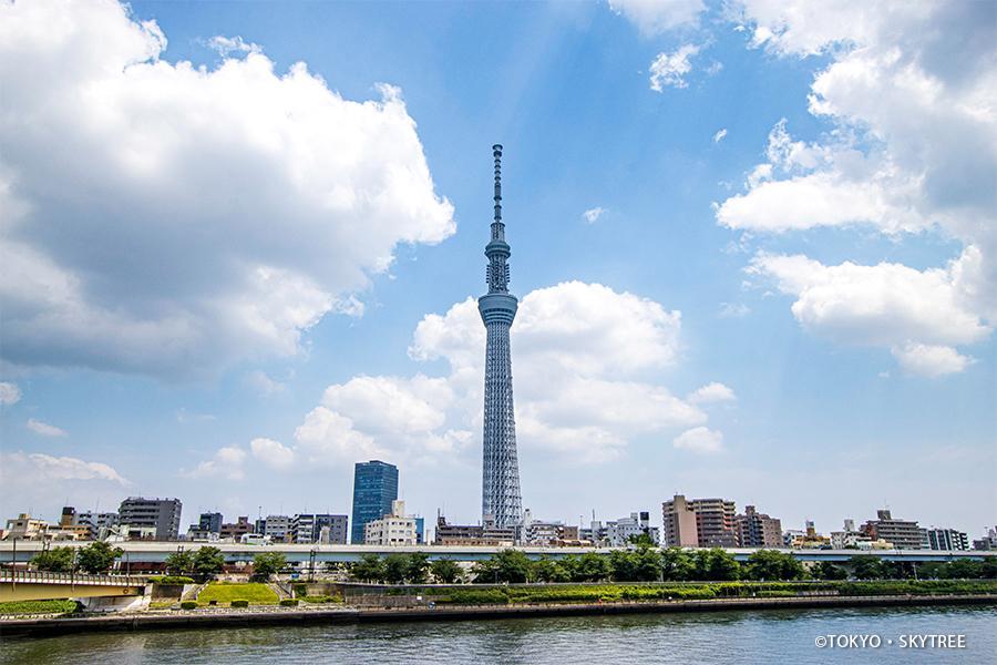 【東京好心情】晴空塔、偕樂園、大佛、阿美橫町、神磯鳥居、燒肉、輕旅6日