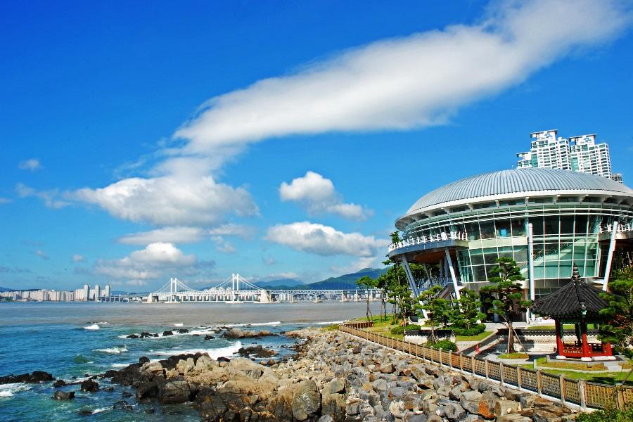 釜山玩很大~農村採果樂、馬飛亭璧畫村、 薰香花園、泰迪熊5日【早晚】