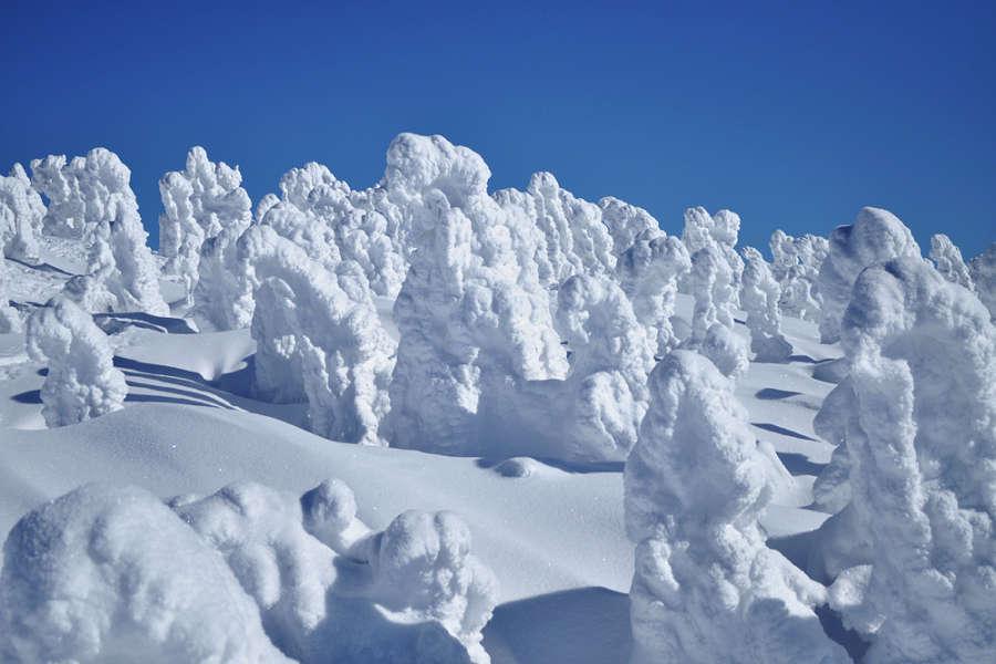 【元氣日本PAK】奧入瀨星野之宿~雪漫絕美樹冰秘享睡魔暖湯延養5日