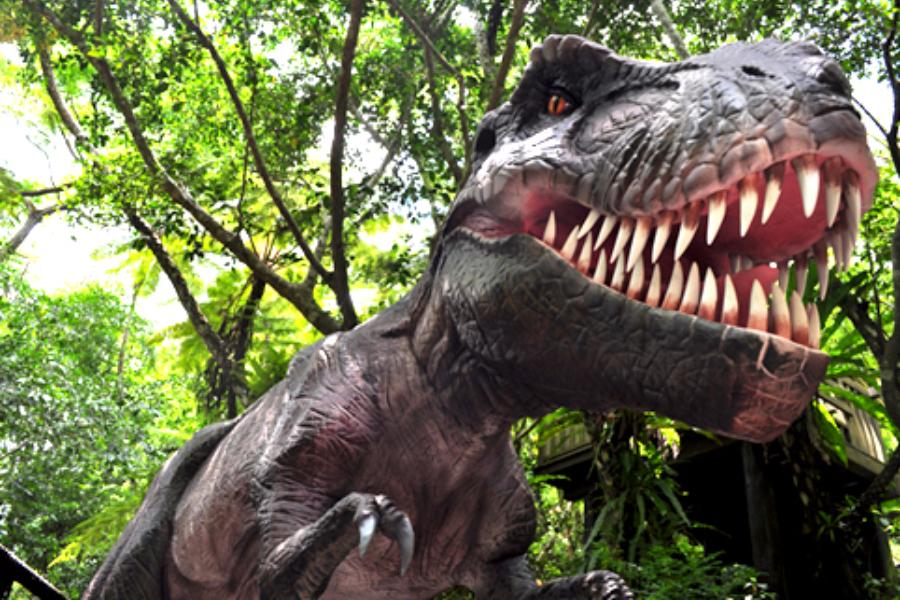 【年後清艙沖繩半日自助遊】Dino恐龍公園山原亞熱帶之森、海洋博公園、瀨長島暢遊四日