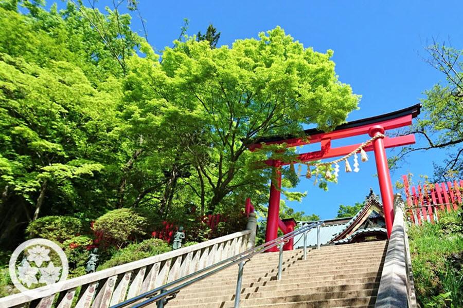 【江戶輕旅行】川越老街、高尾山、東京輕旅行５日※都區飯店&贈上網折抵券