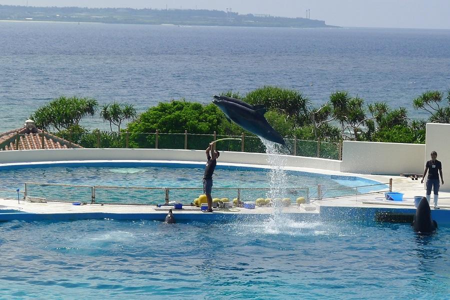 【花漾沖繩超值】古宇利塔、恐龍公園、永旺夢樂城、美麗海水族館4日
