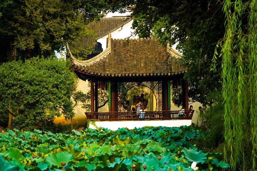 【素食江南】上蘇杭、漫遊古典園林之美5天(留宿烏鎮乙晚)