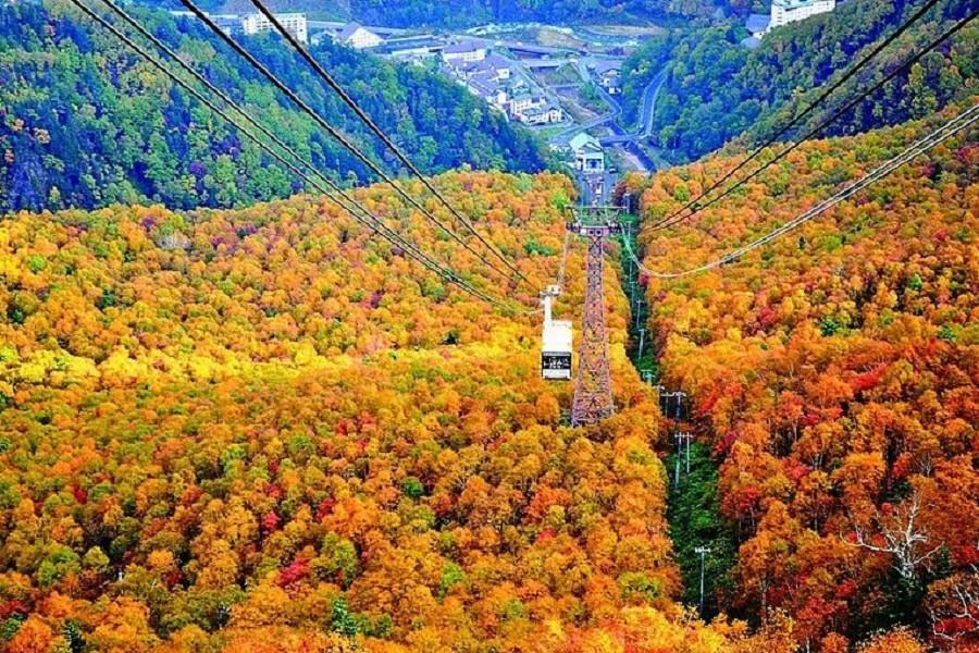 【邂逅北海道紅葉】阿寒湖遊船、黑岳纜車、道東溫泉香5日(千歲千歲)