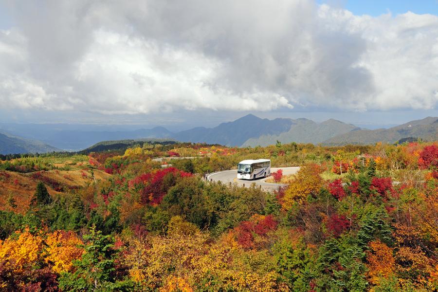 【秋紅魅立】黑部立山、掃帚草、上高地、偕樂園、白川鄉5日(東京進出)