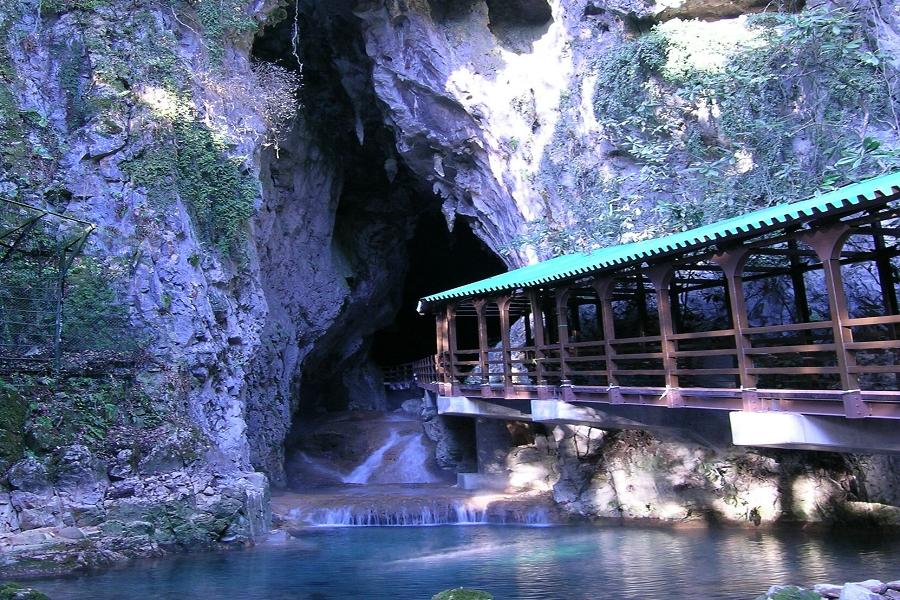 秋賞四國、山口秋芳洞、錦帶橋、廣島原爆世界遺產、嚴島神社、福岡5日