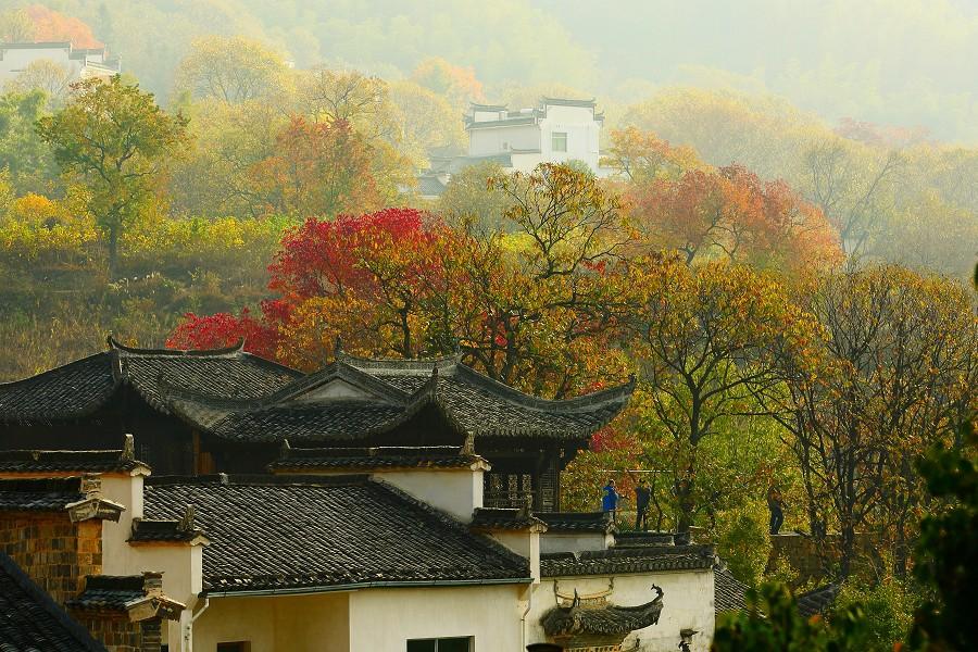 秋色徽州建築、篁嶺曬秋、宏村、齊雲山5日【升等5星麗朗渡假酒店】