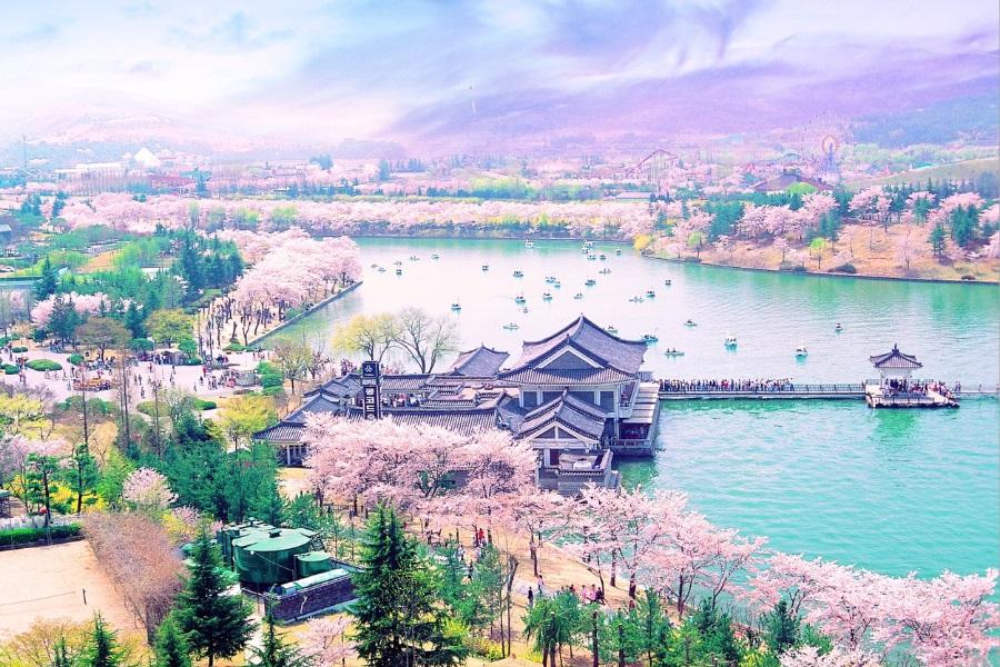 釜山玩很大~農村採果樂、馬飛亭璧畫村、 薰香花園、泰迪熊5日【早晚】