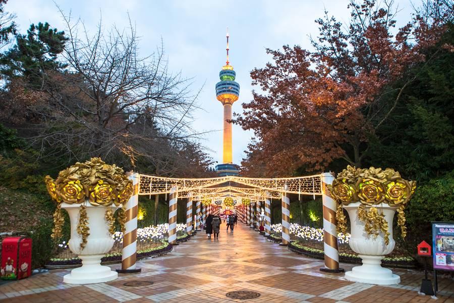 【不進人蔘保肝】釜山草莓酒莊、EWORLD樂園、汗蒸幕、鯨魚生態館5日