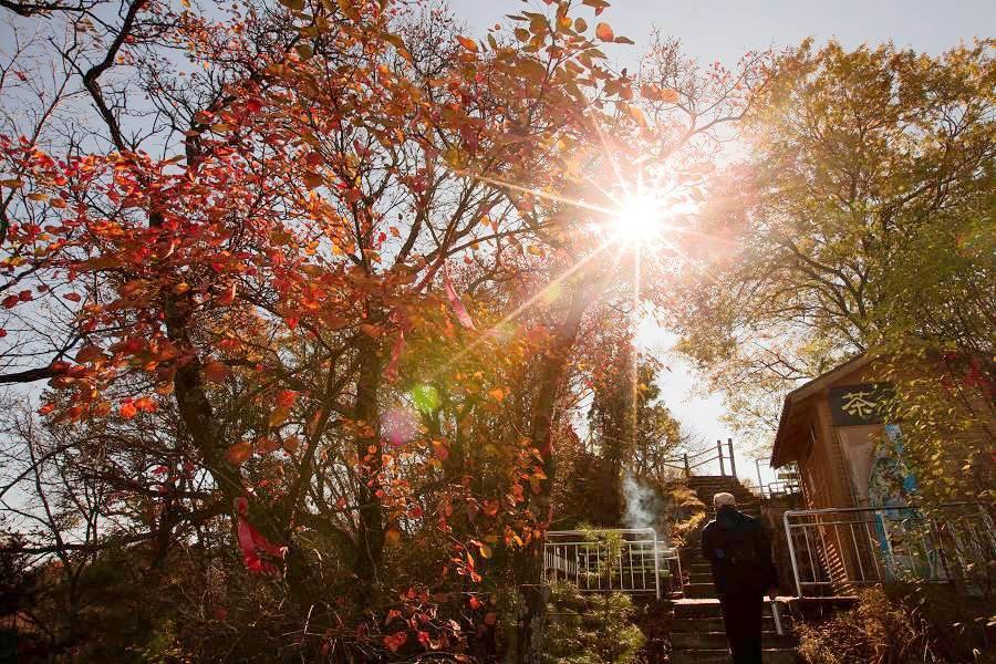 【立榮航空】西安FUN輕鬆 ~ 少華山賞紅葉、中式下午茶、兵馬俑4日