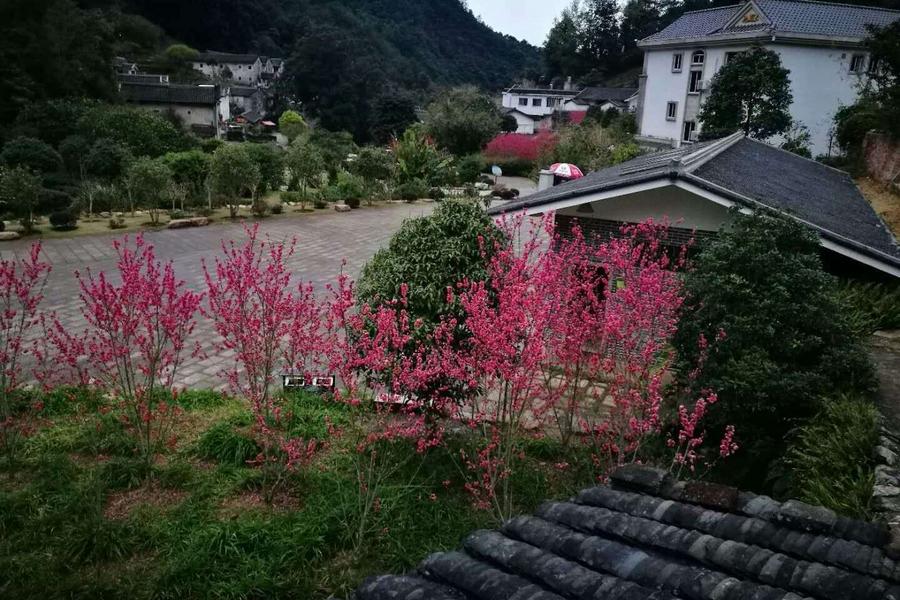 潮州梅州客家文化．五指石高空棧道．粵東第一瀑龍歸寨瀑布5日