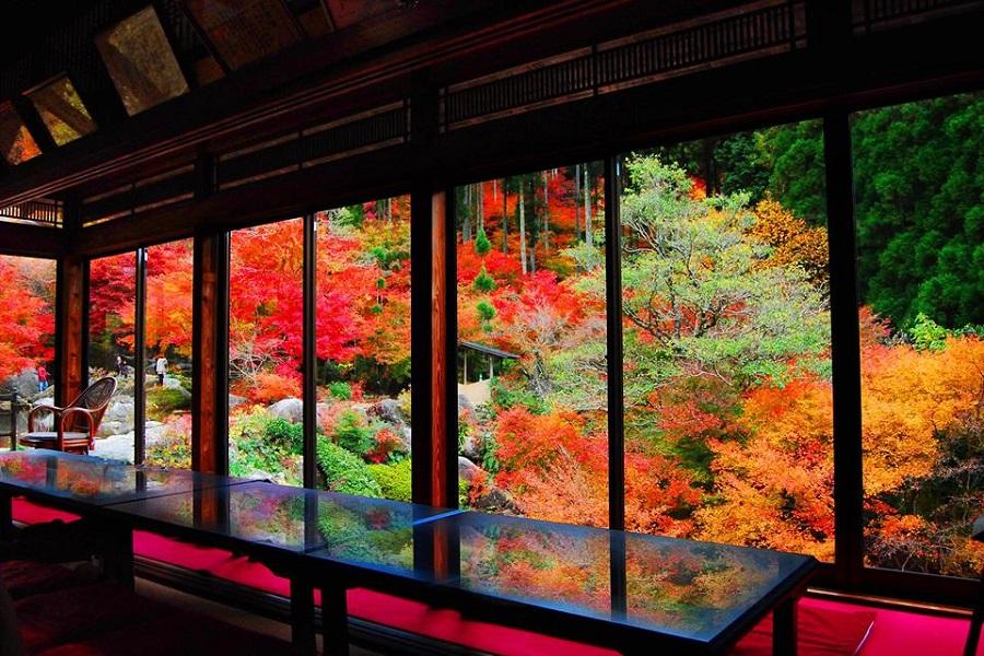 JTB企劃【秋楓長崎】紅葉祕境、璀璨三大夜景、御船山樂園、九十九島4日