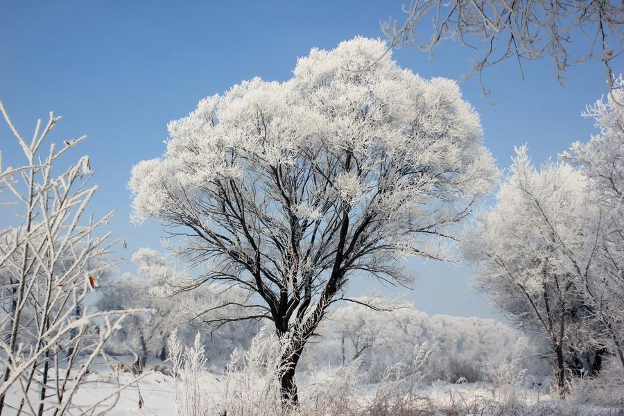 【哈大高鐵】東北五大名城、虎山長城、船遊鴨綠江、觀霧淞、冰雪大世界八日