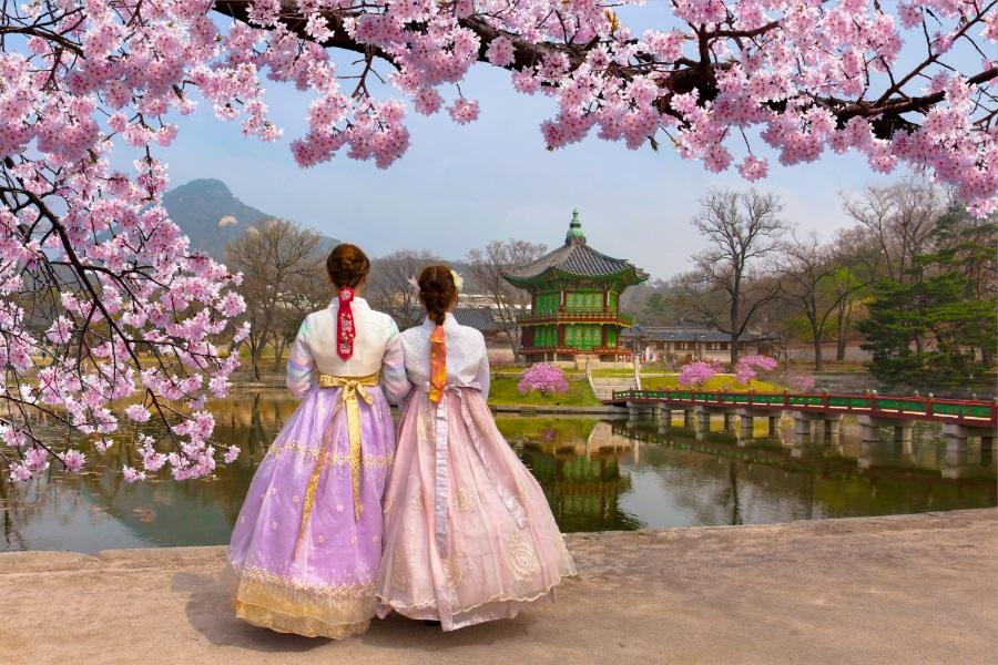 2晚五星春遊首爾~草泥馬樂園.首爾塔.韓服遊北村.龍蝦海鮮美食5日