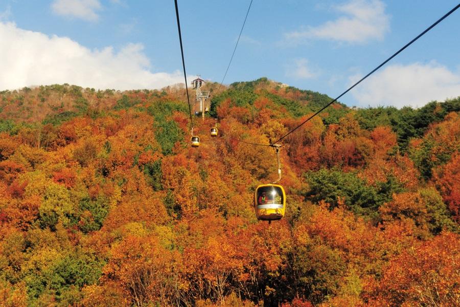樂遊釜慶邱~八公山纜車、薰衣草花園、夢幻教堂、柿子酒莊、汗蒸幕5日
