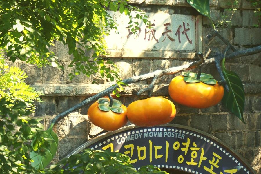 樂遊釜慶邱 八公山纜車、薰衣草花園、夢幻教堂、柿子酒莊、汗蒸幕5日