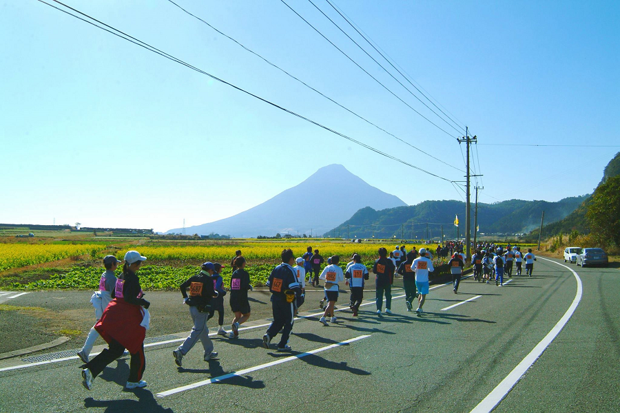 【主題旅遊】2019指宿油菜花馬拉松五日