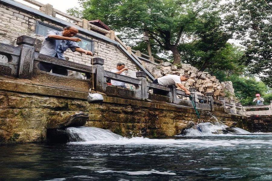山東海草房部落、文城城堡、採摘、夢歸琴島秀8日【定制德味啤酒餐+鮑魚】