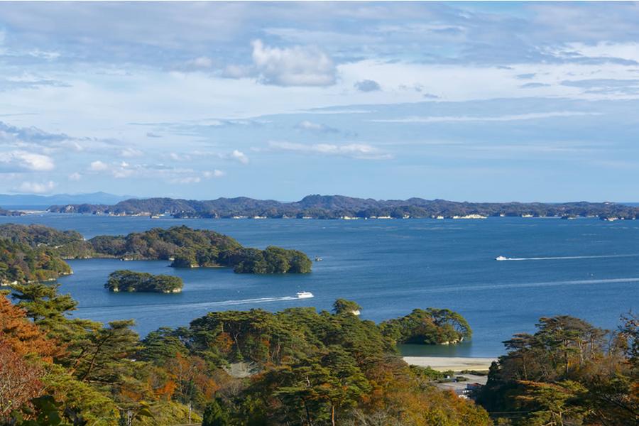 仙東楓情★百選賞楓．日本三景．世界遺產．仙台東京六日