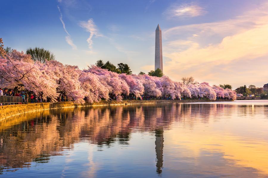 《櫻花季》美東四城～紐約、費城、巴爾的摩、華盛頓兩晚、自由女神遊船8日